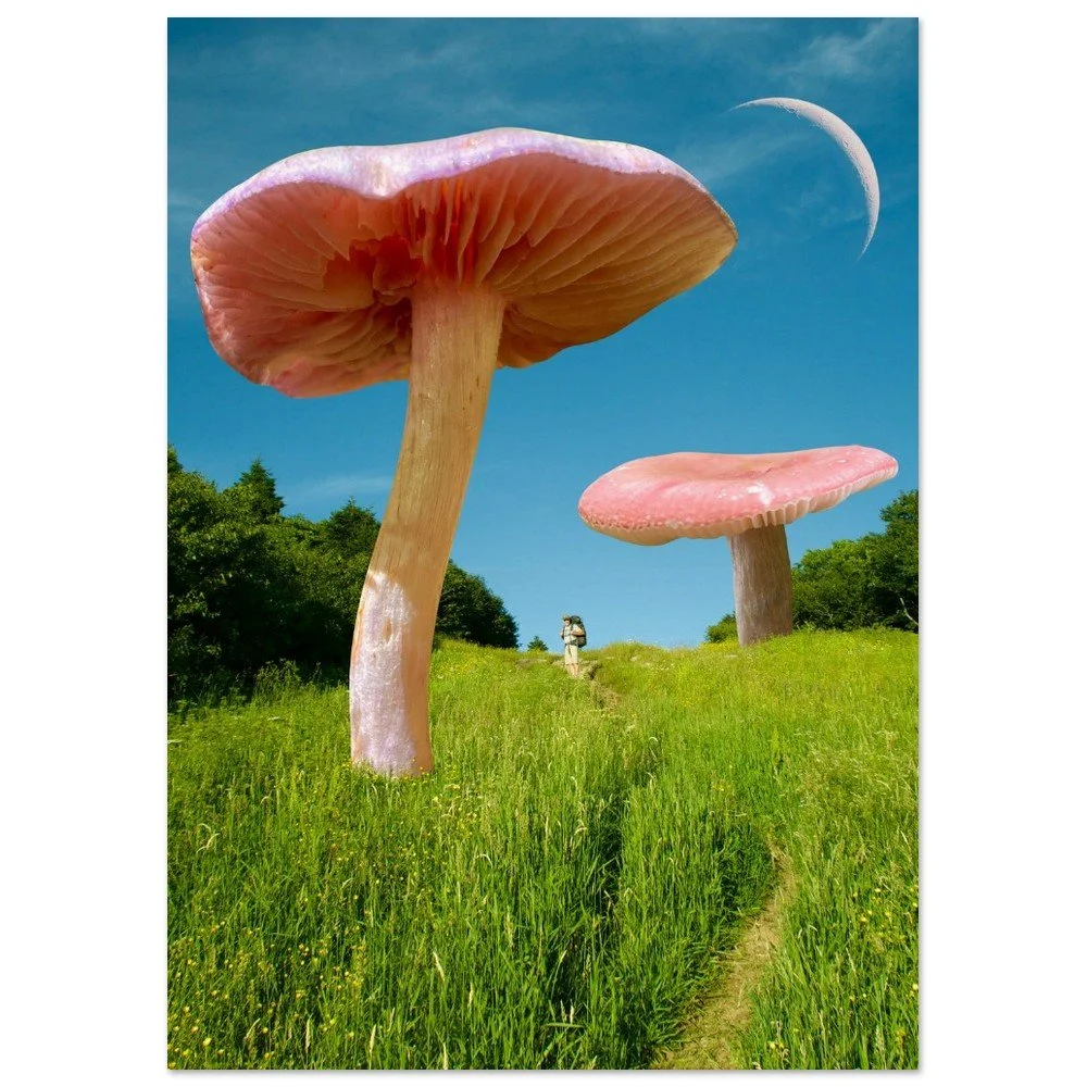 tmp-315-uRx9mx0QPNuY