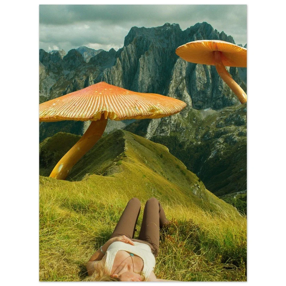 tmp-335-H7LB6QFQfoQn