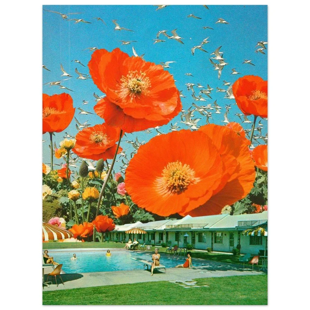 tmp-343-4sk4UlQpy1Wm