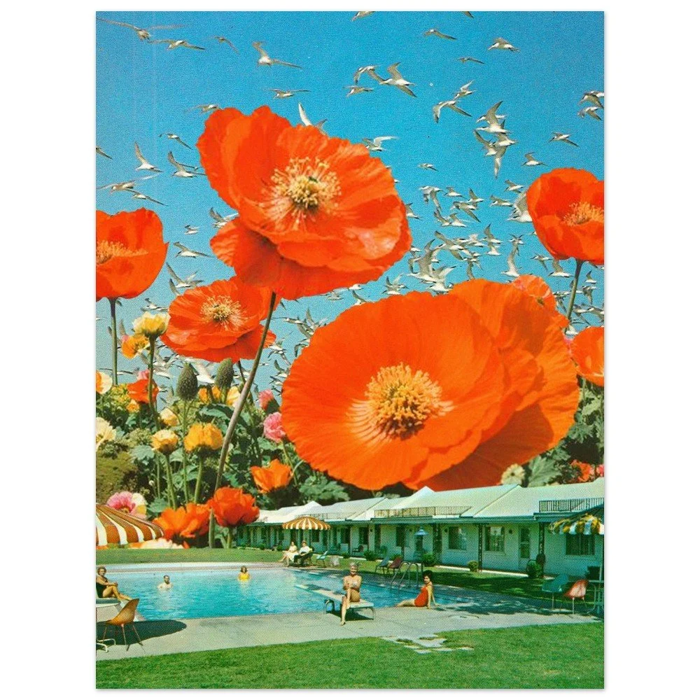 tmp-343-G2t2PaZRcz3u