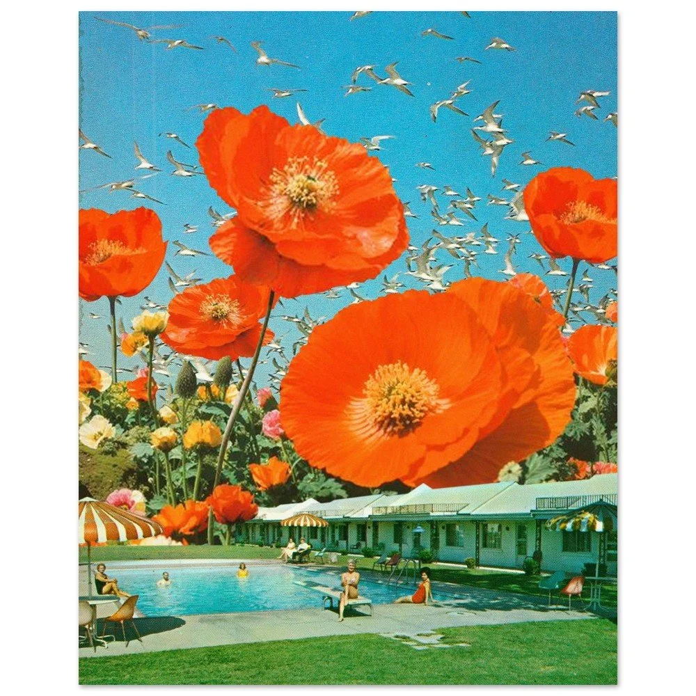 tmp-343-QqtD4EoEtP1z