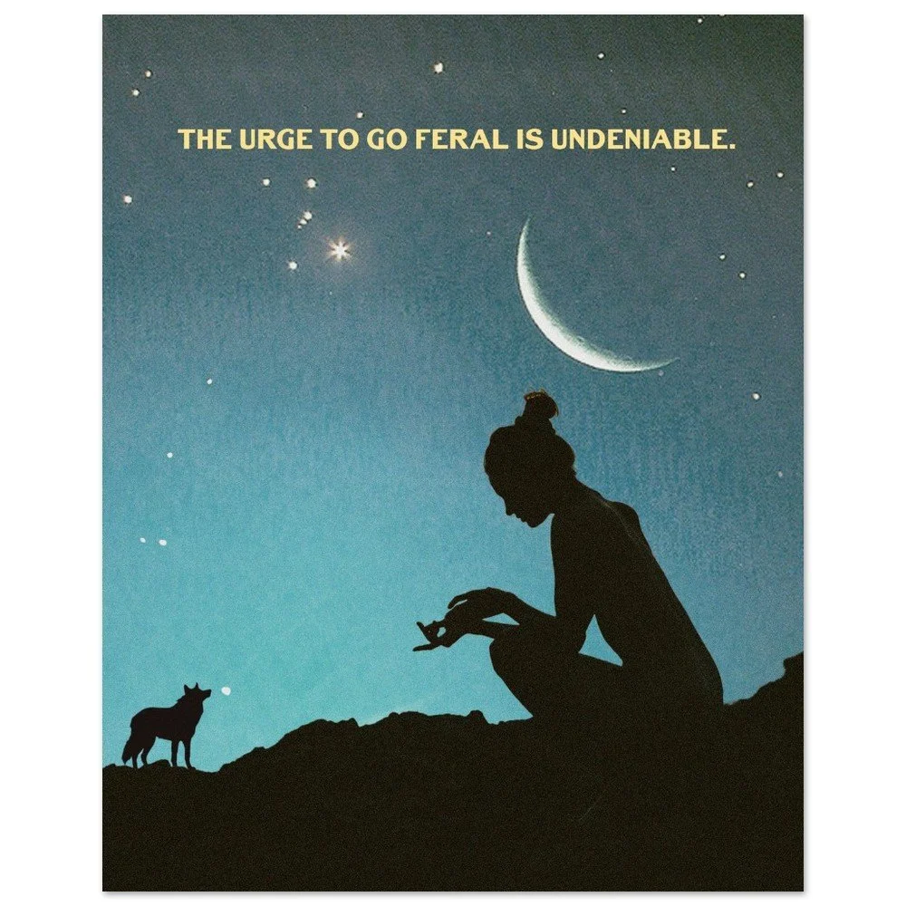 tmp-278-euwiCv8CBXUI