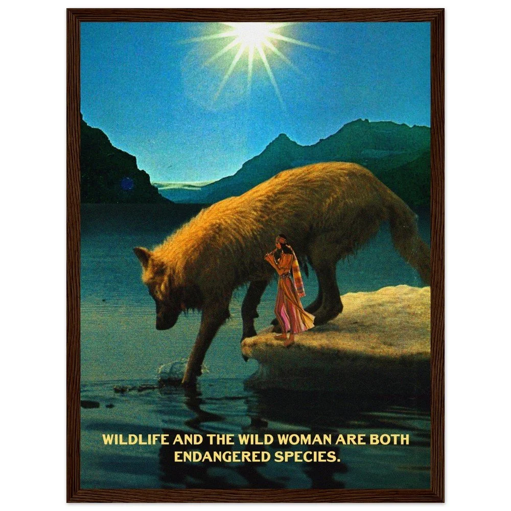 tmp-377-CQqpsLuxUnyF