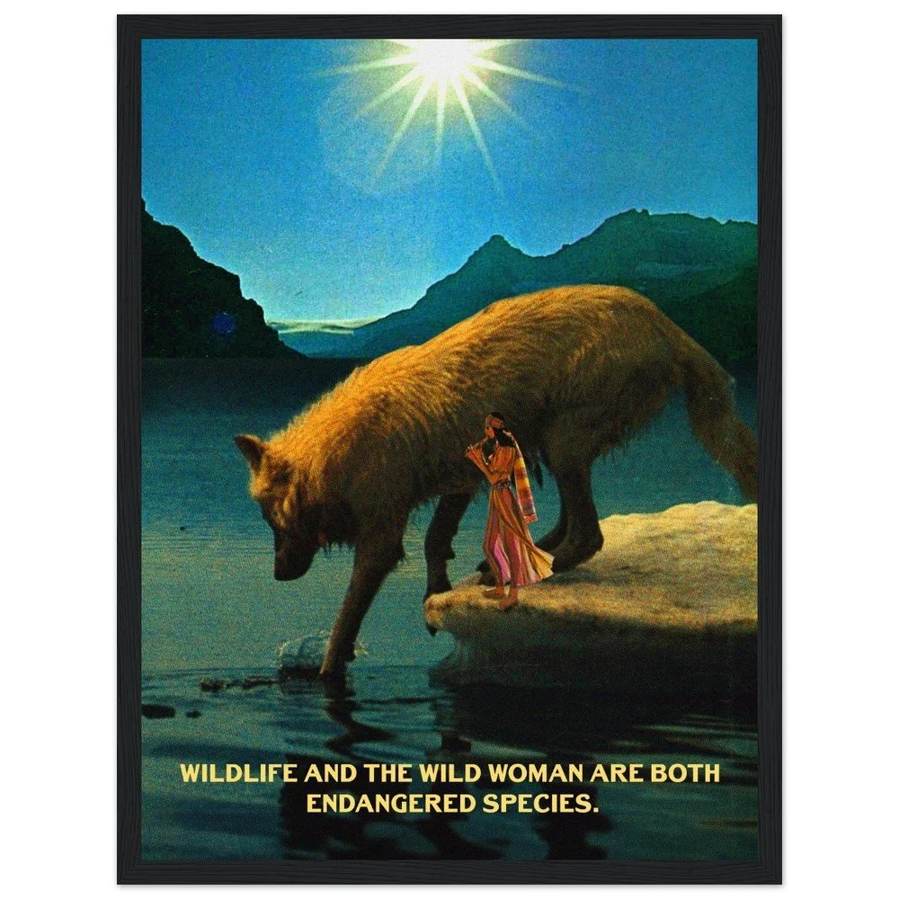 tmp-377-xb86p9I27qsE