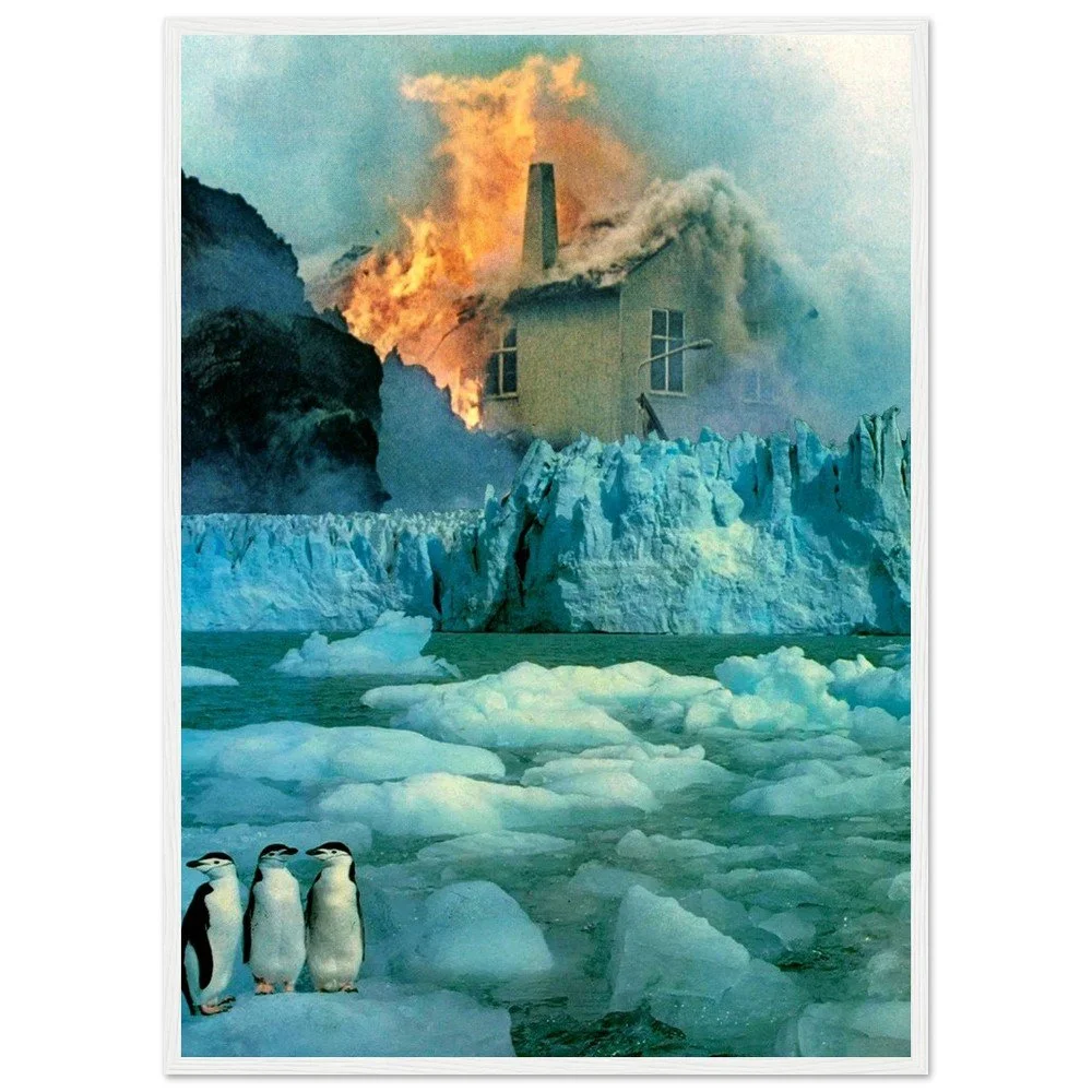 tmp-309-lvXhe0TMGb6T