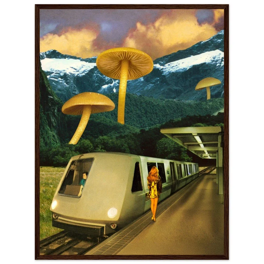 tmp-150-0o9wjX19NcDo