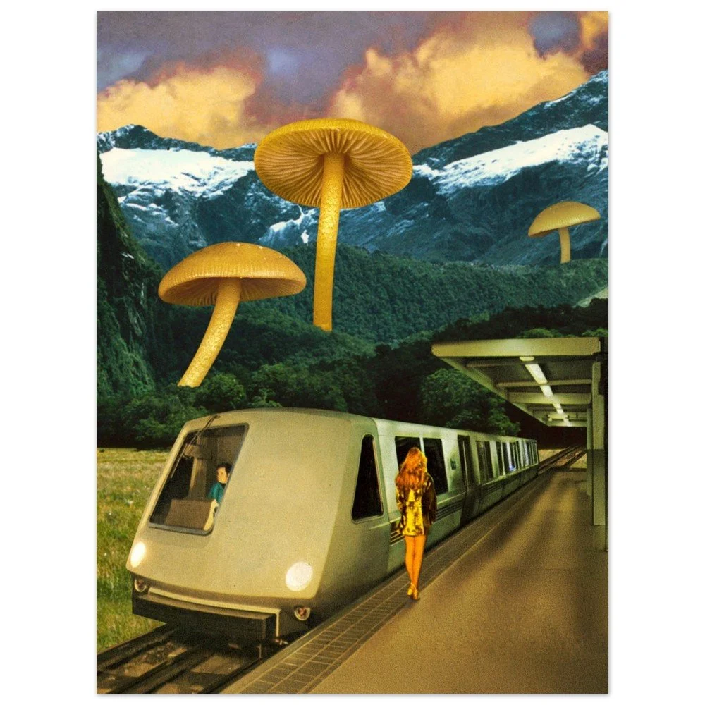 tmp-151-v3z1Wlwu53Lf