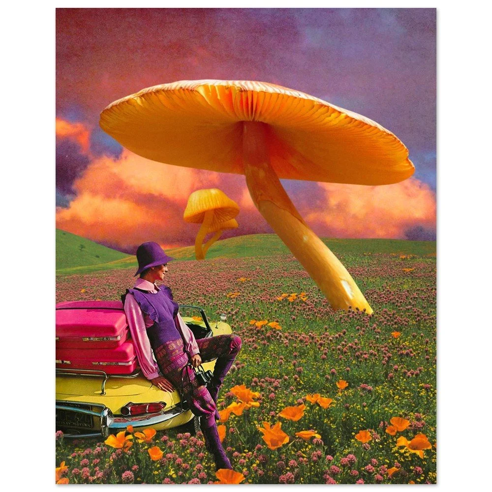 tmp-154-2A8yl1897LOk