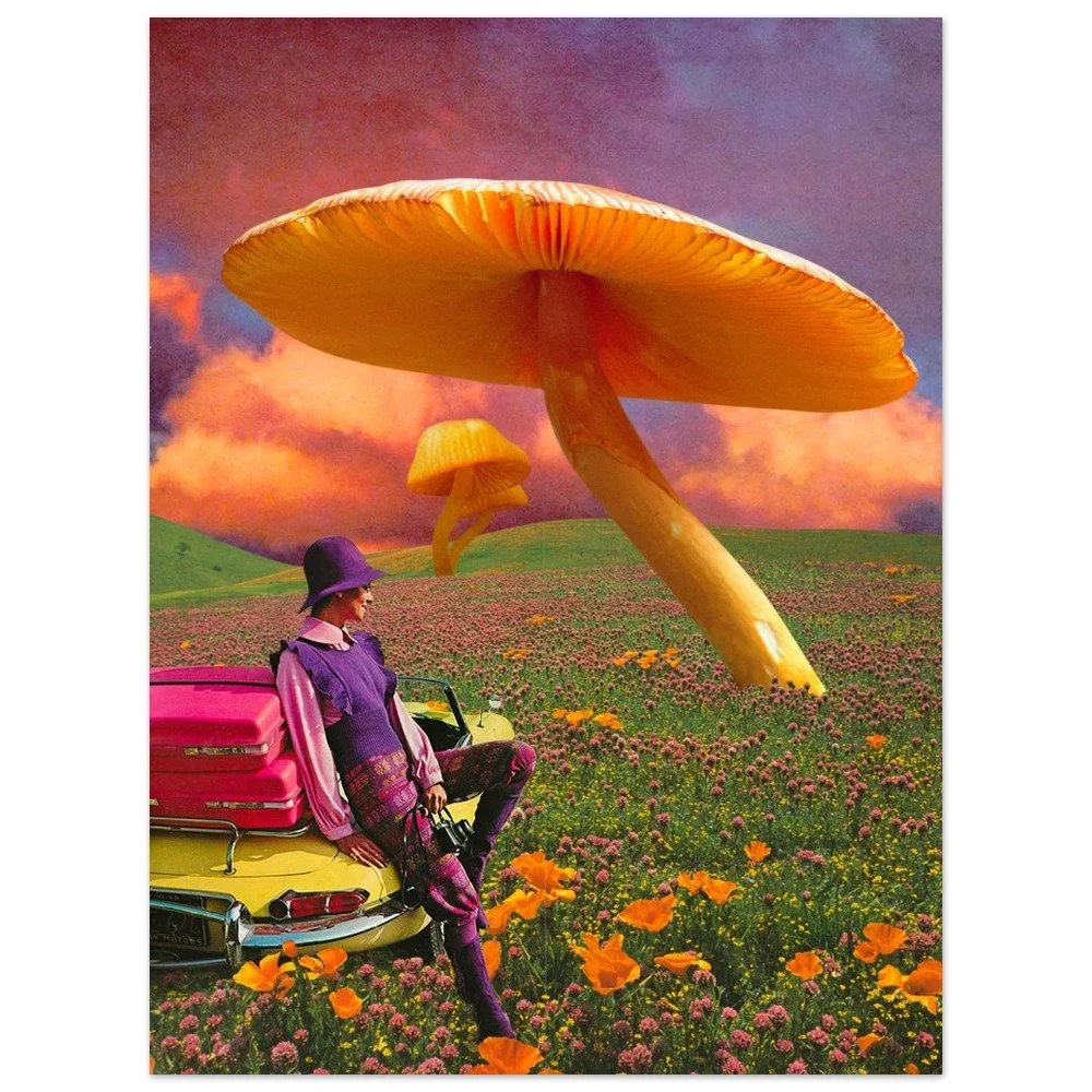 tmp-154-51RxzunDkIOp