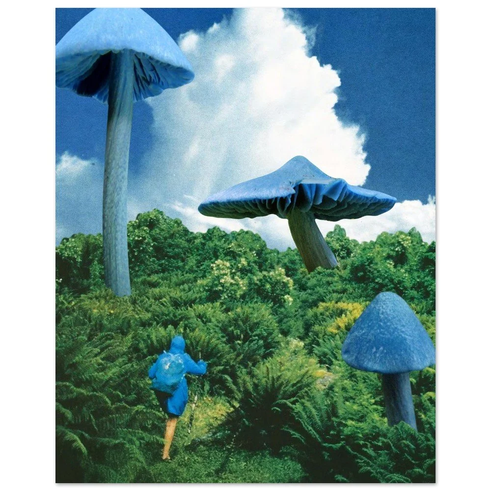 tmp-154-2BQOS4t6DynJ