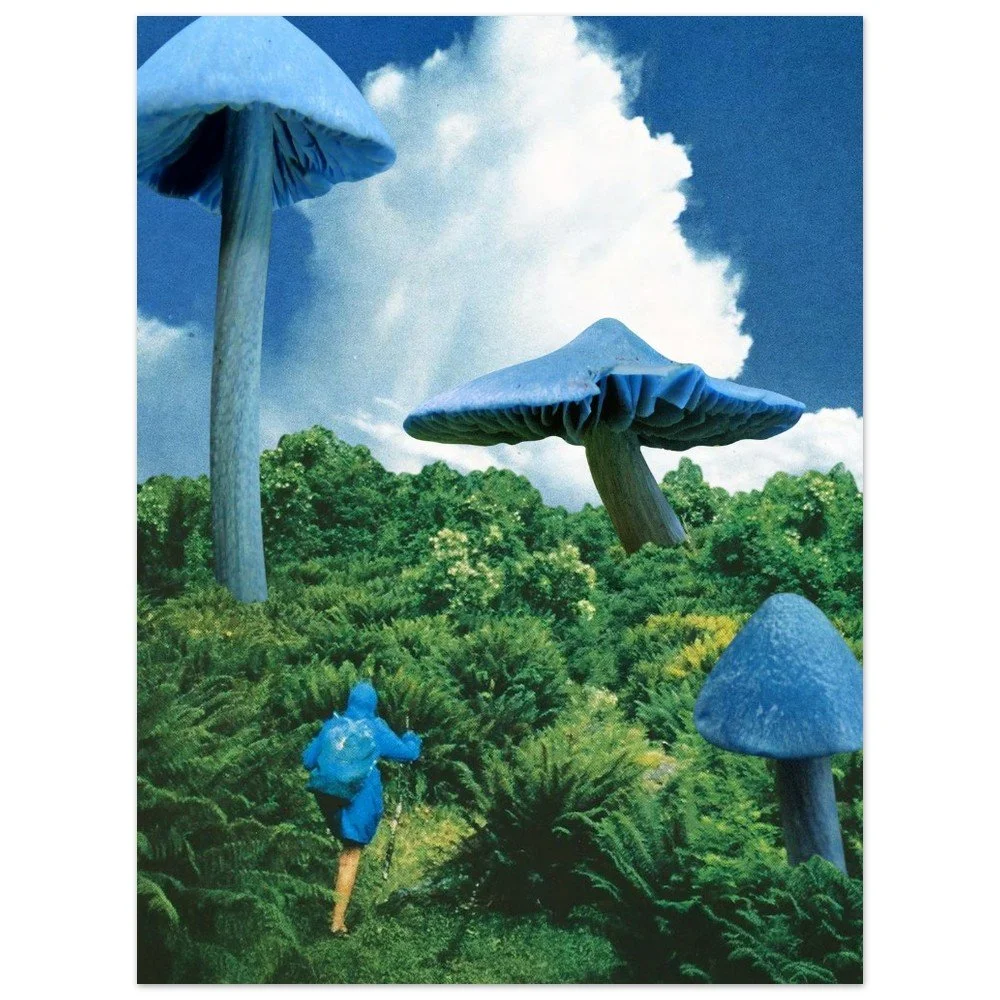 tmp-154-fLzIowpxzKmB