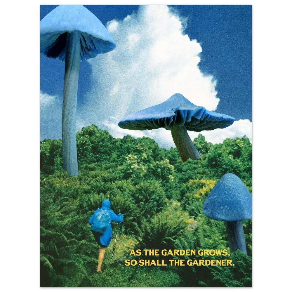 tmp-152-dIMBTSnKsQ5H