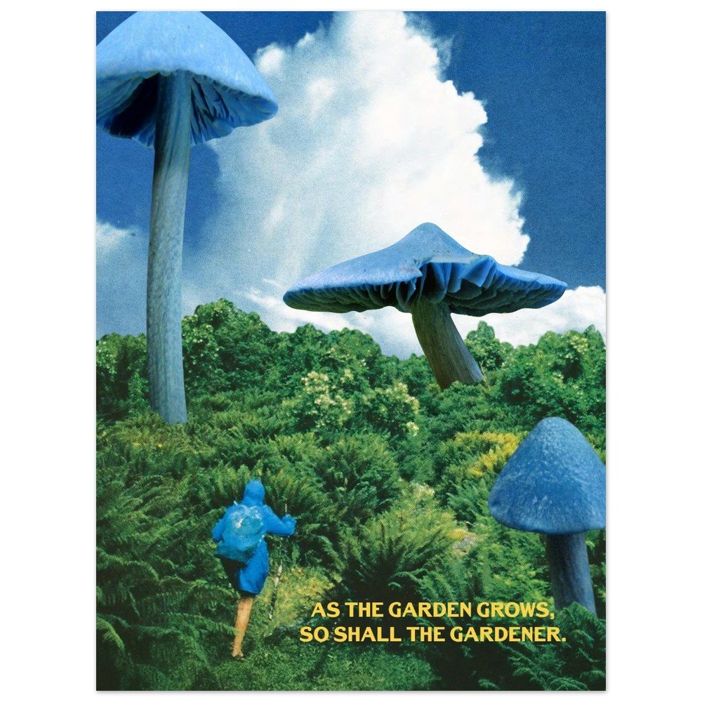 tmp-152-aVBJ1OvR9JTt