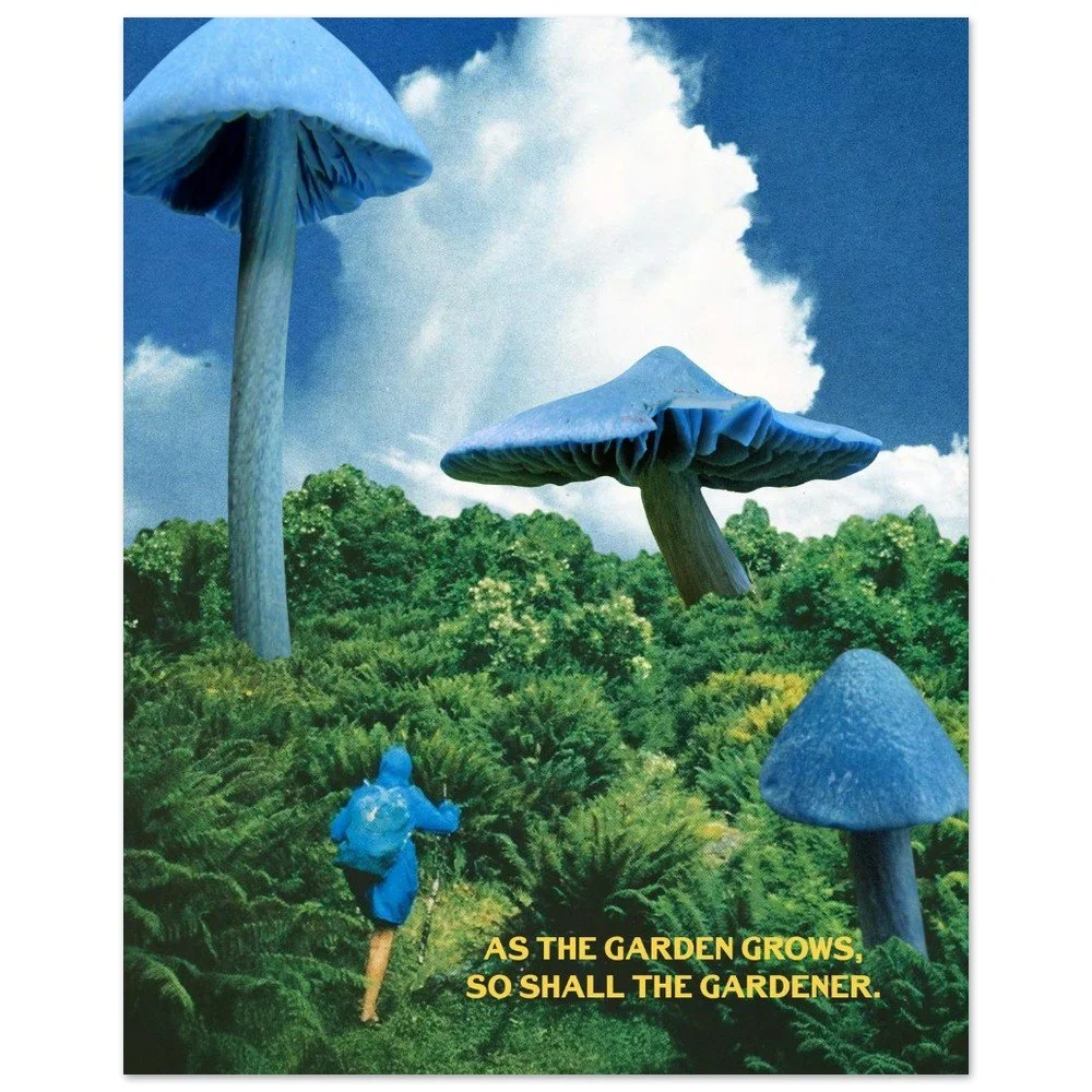 tmp-152-QfH8uHeM6XhW