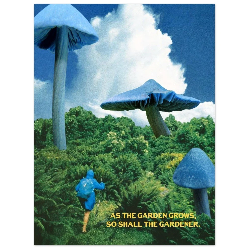 tmp-152-D9lmXxp6tMP0