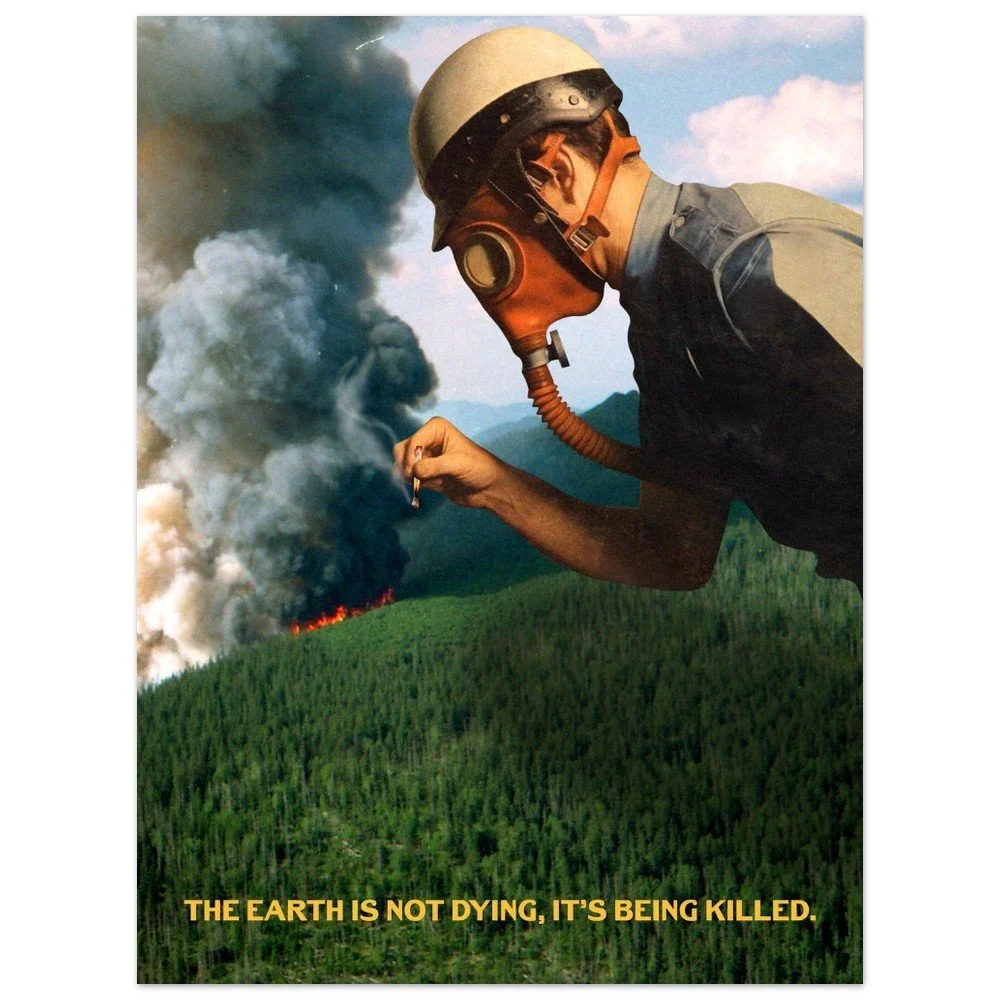 tmp-153-tDl09ciStbrT