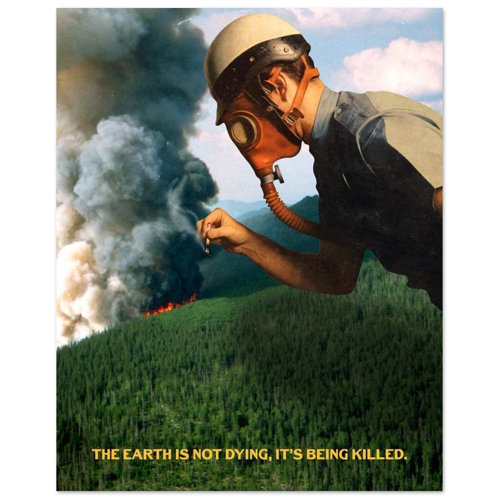 tmp-153-E7Zsr3VxtfDu