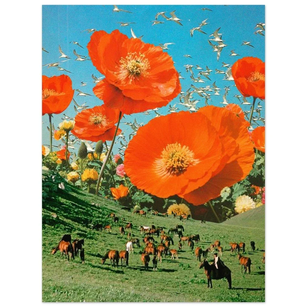 tmp-151-uzhIDK3xHq2E