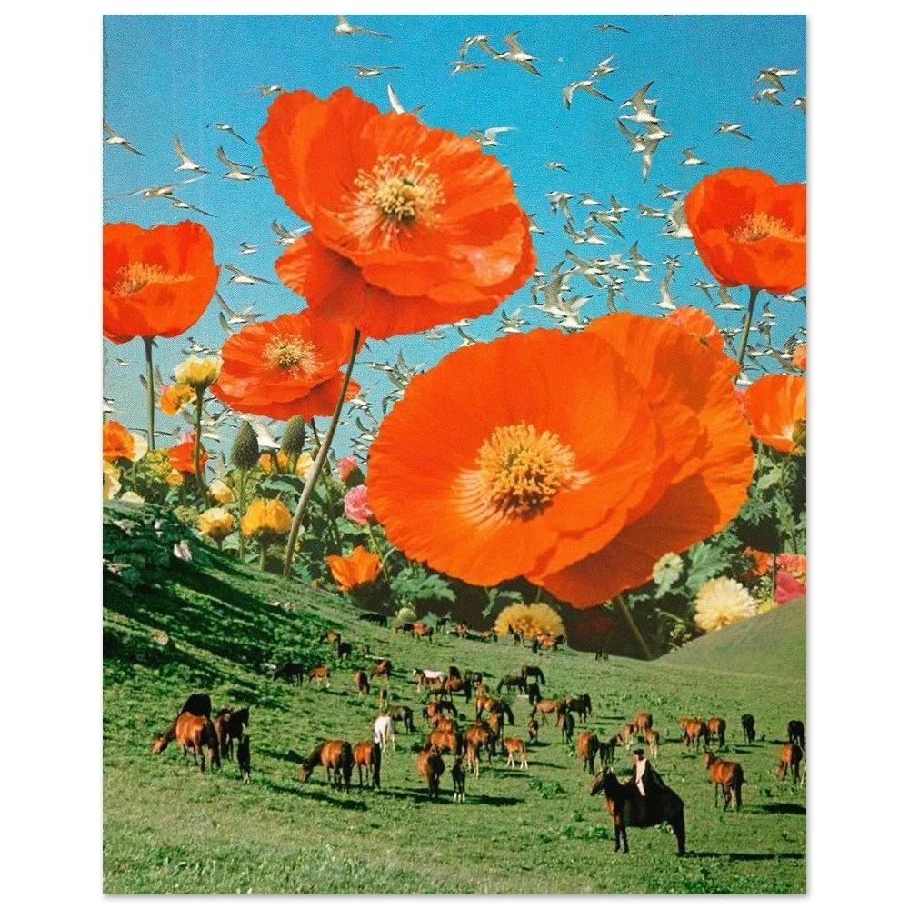 tmp-151-2YJ030PoRUyA