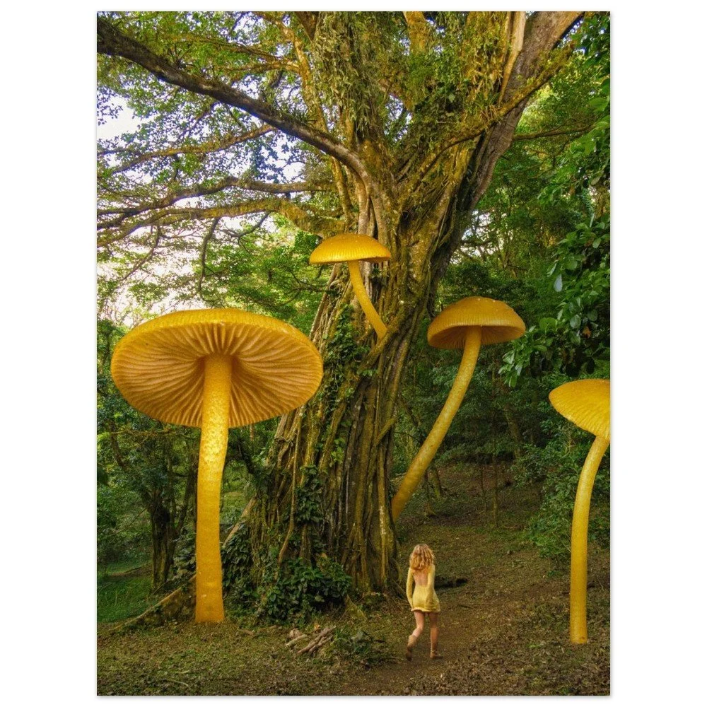 tmp-151-H74Y6npbadKA