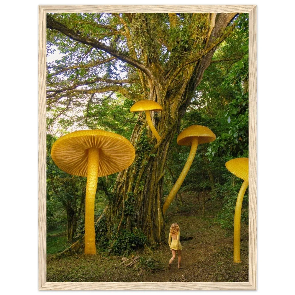 tmp-1675-6XFgm3zcQa5E