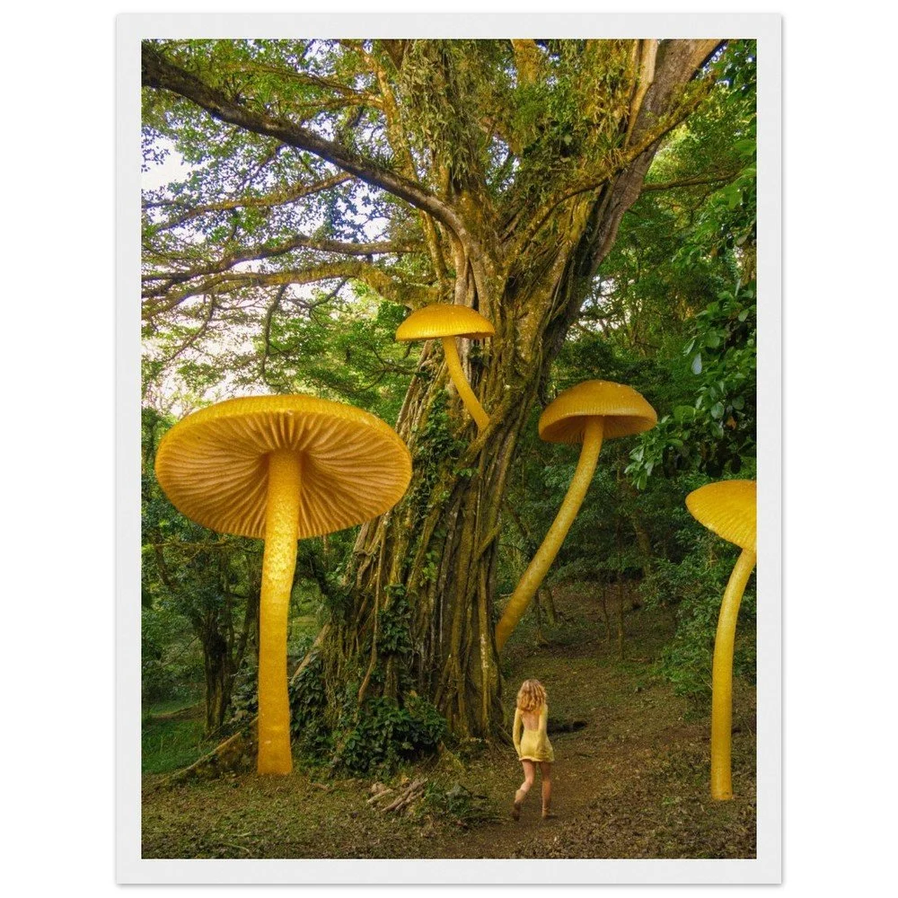 tmp-1675-9loE0ZOYsKK3