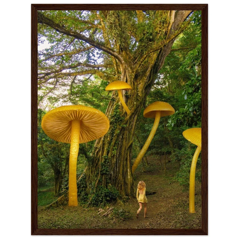 tmp-1675-Eb737cQZ4V8O