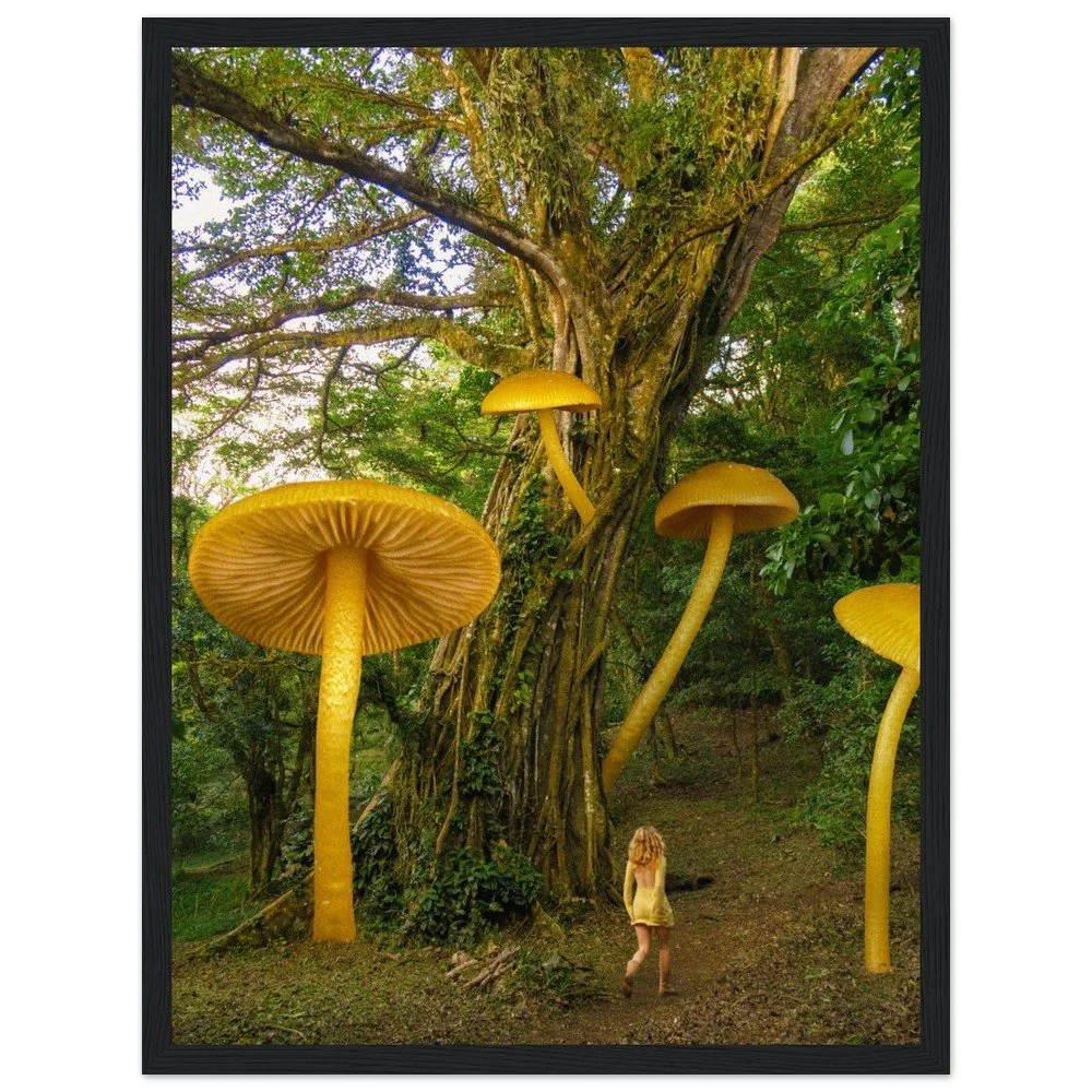 tmp-1675-SJfUTqWyxc2p