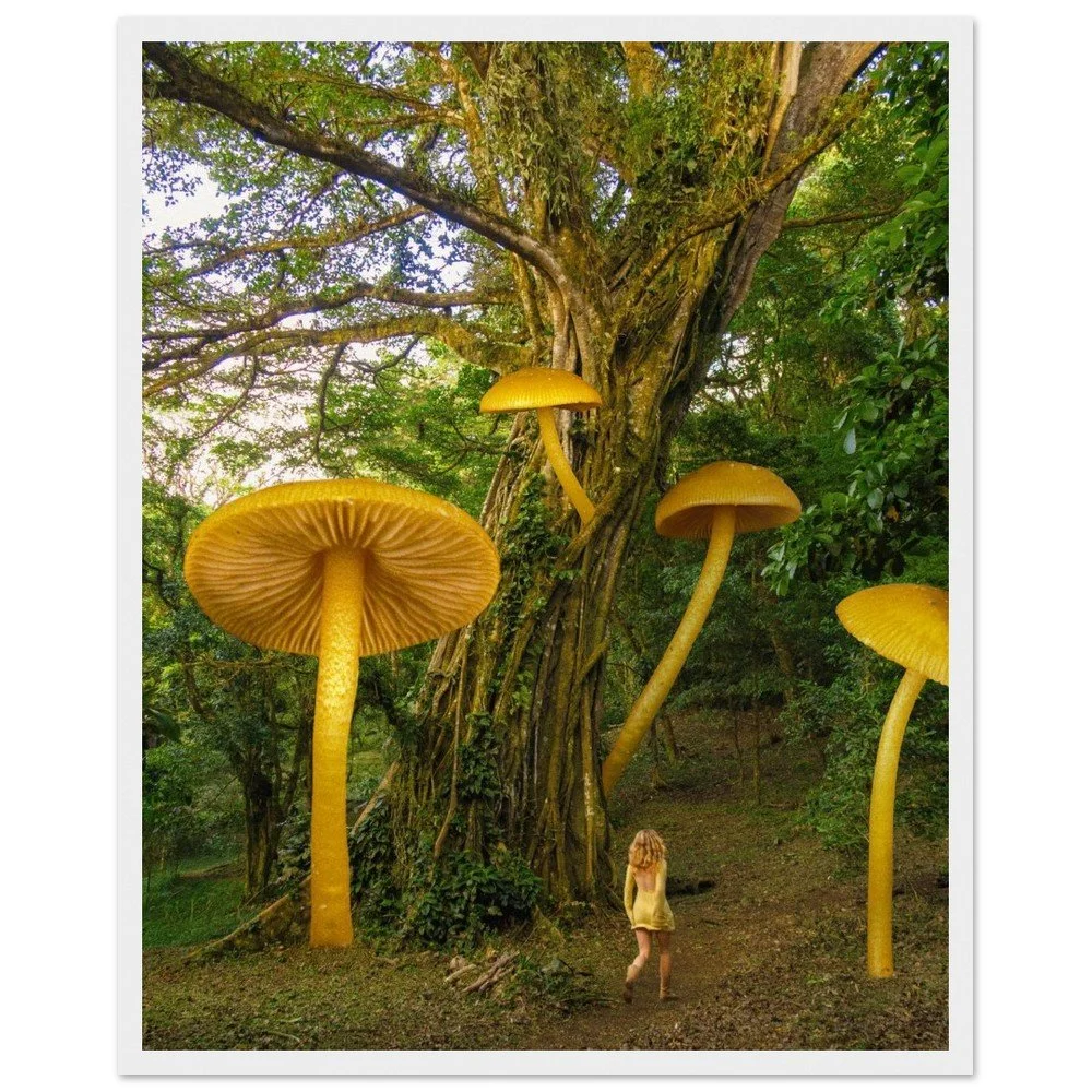 tmp-1675-jhTvIeE69ifD