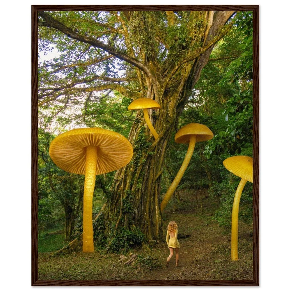 tmp-1675-qxZ2vKHSj2Xb