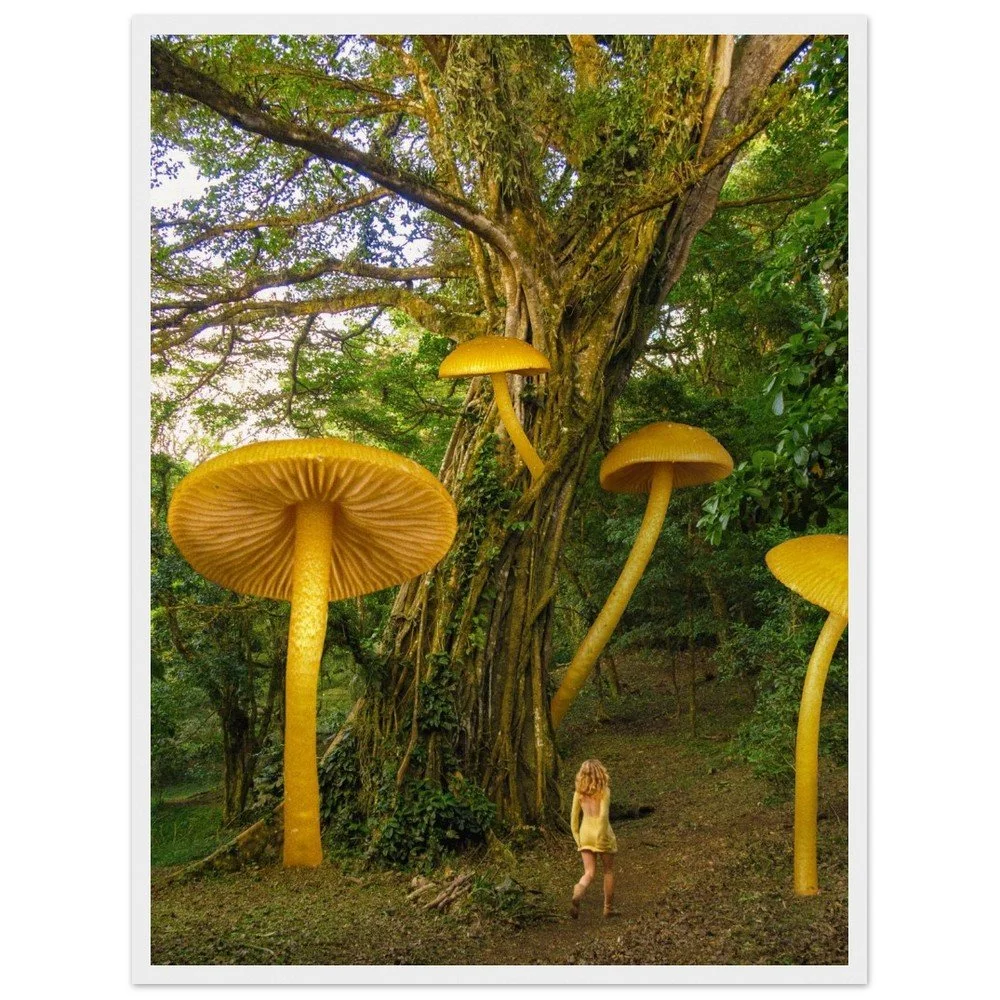 tmp-1675-chISw63J70zt