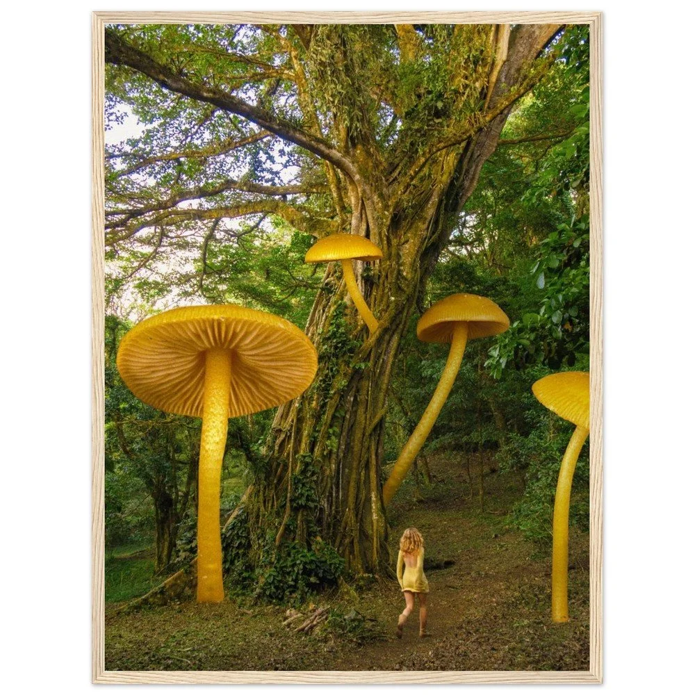 tmp-1675-plfedCUAFeTr