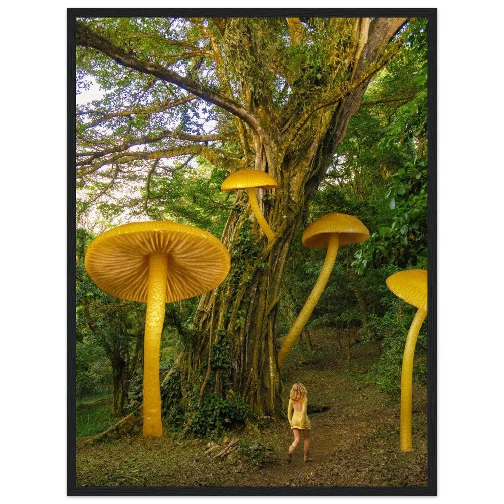 tmp-1675-y4hzXGeSWOp4