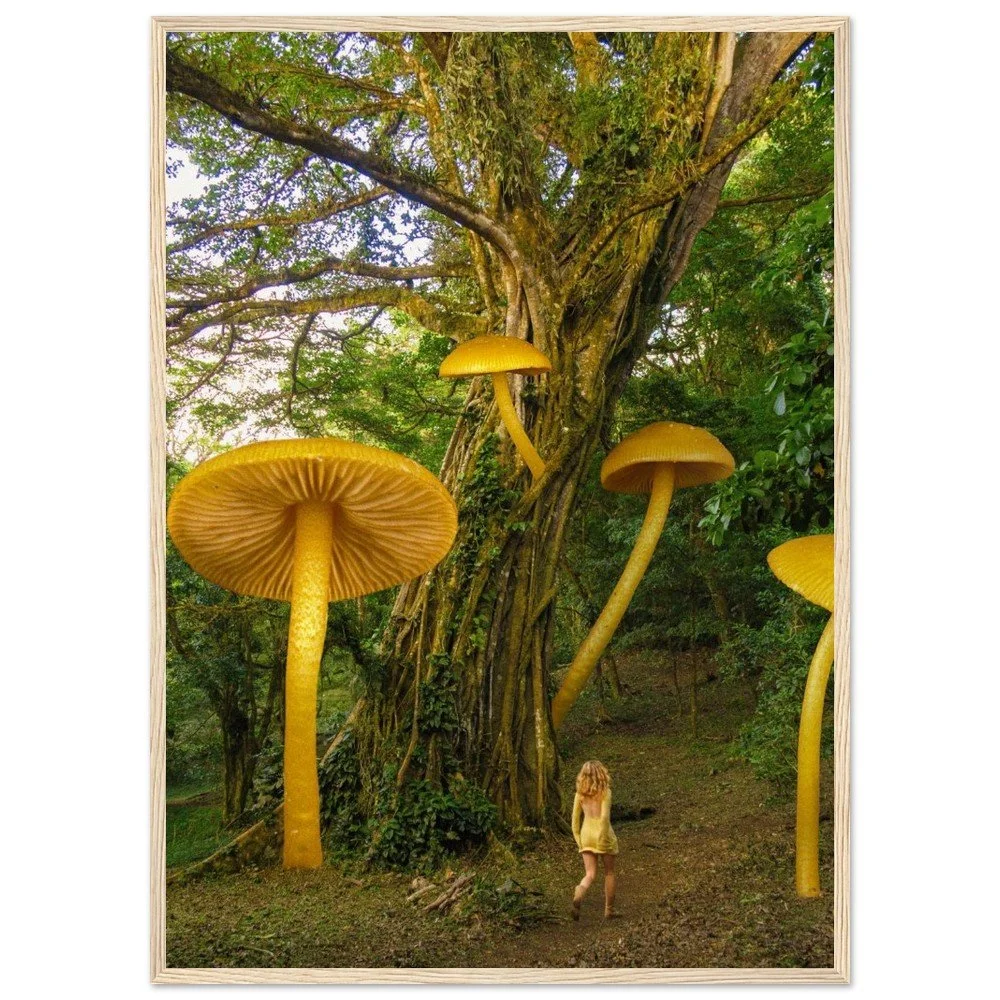 tmp-1675-voOUiSGgAVWi