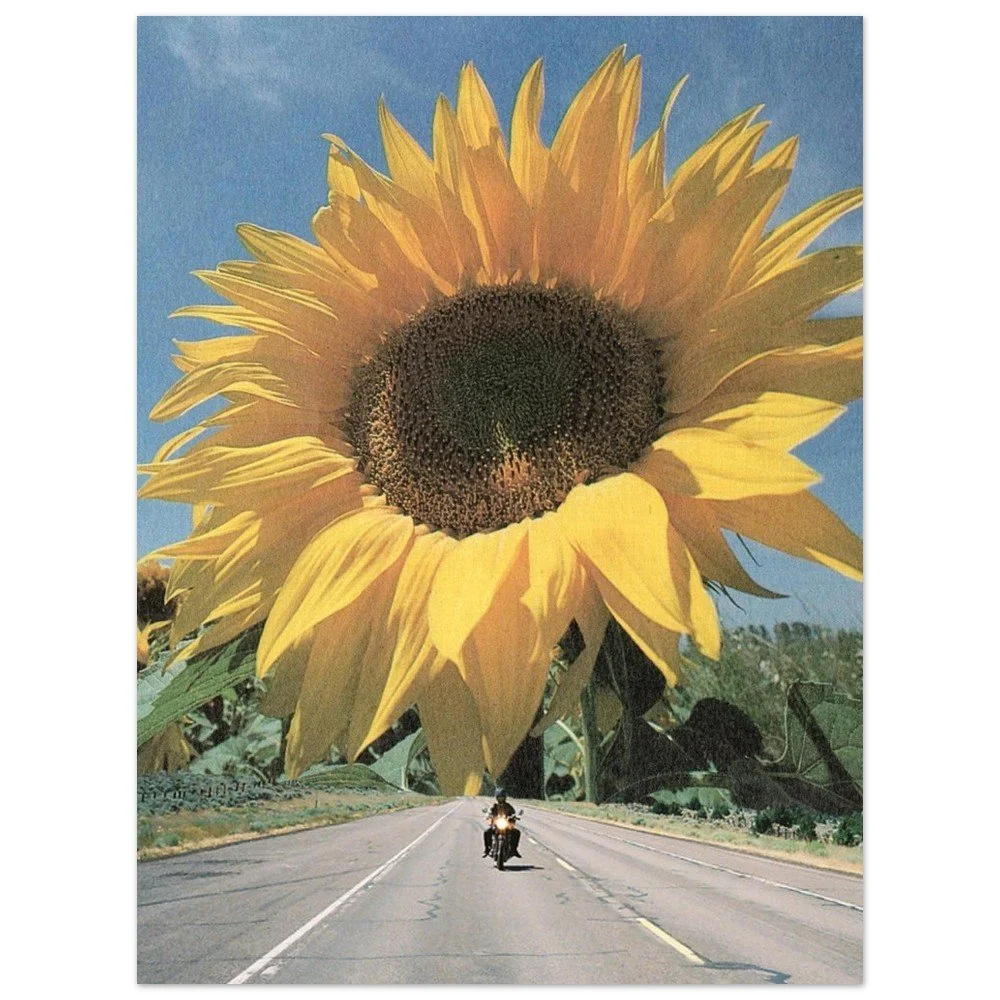 tmp-166-ttBwsXOg7dvr