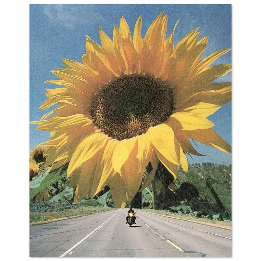 tmp-166-MsVjp0Al9qgR