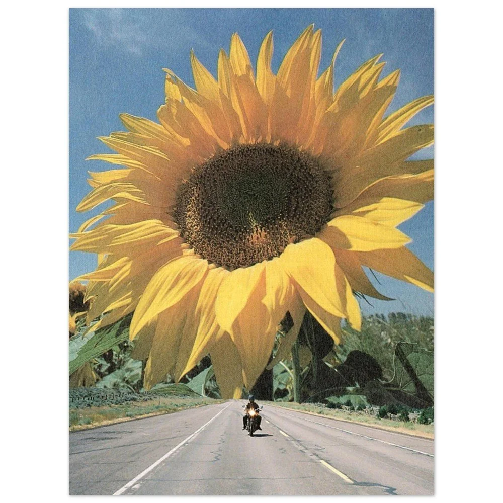 tmp-166-hVhkTLF25HQu