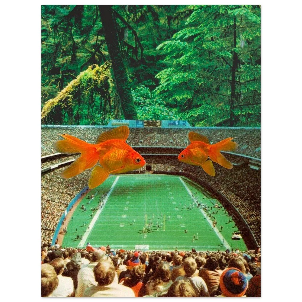 tmp-165-2MizpdLSxVox