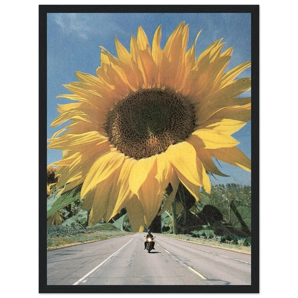 tmp-169-elP6ETQKwZb8