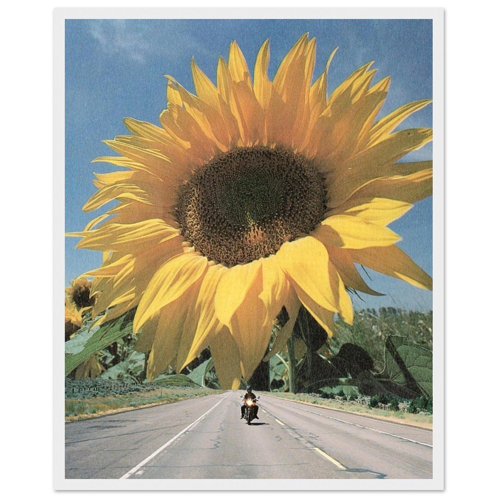 tmp-169-rB1v8Yr7KTjF