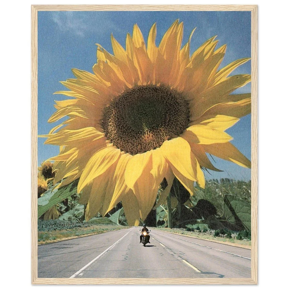 tmp-169-jlR1f91biKm6