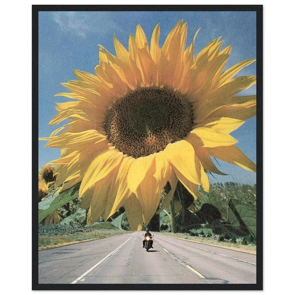 tmp-169-44wYv4j1J1DB