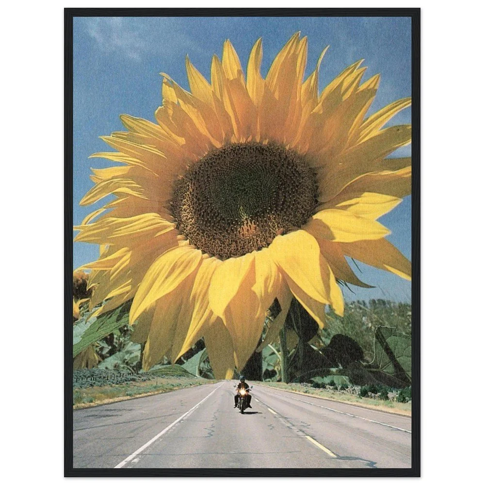 tmp-169-V3cM6jzwTj1y