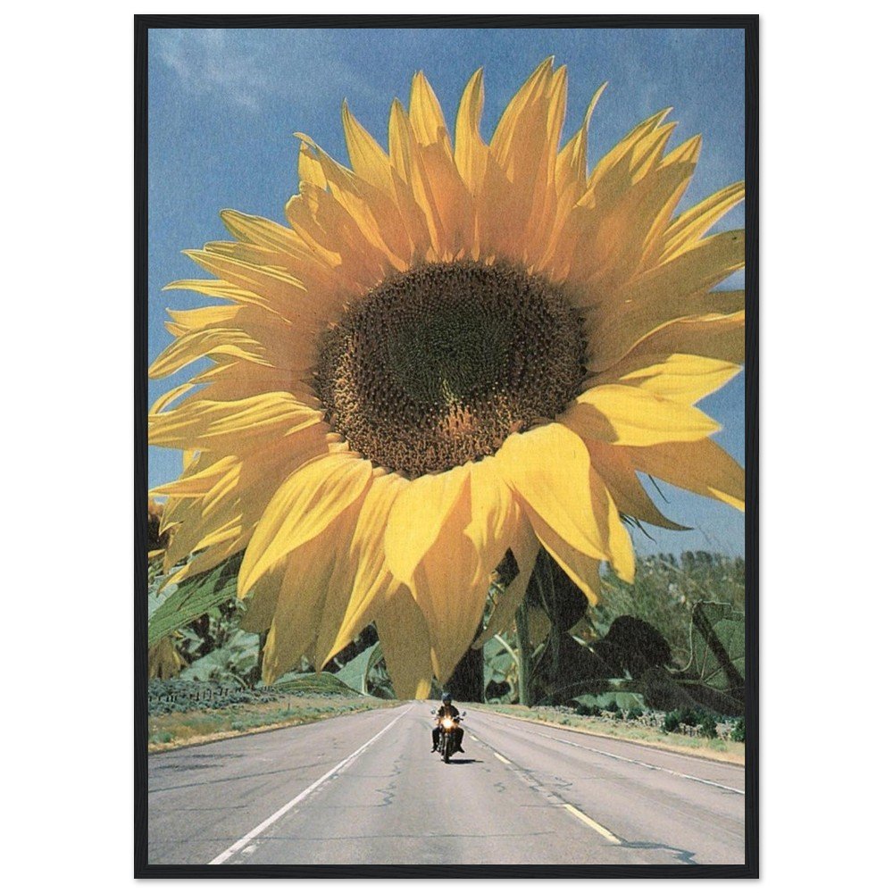 tmp-169-E3dv8suWLeqo