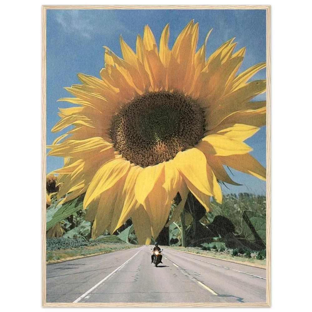 tmp-169-oiRoAe5gCHir