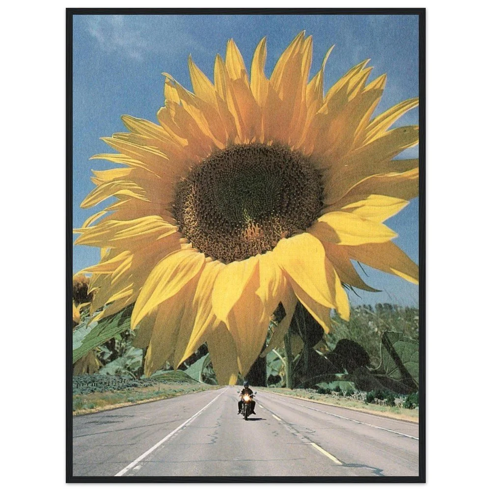 tmp-169-kypyLOXjNn30