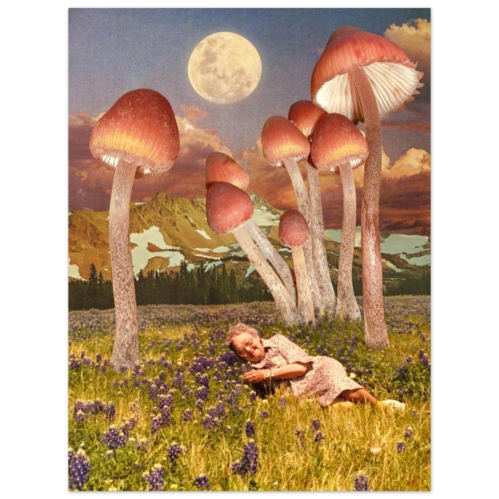 tmp-152-ftjORaa0uhwt