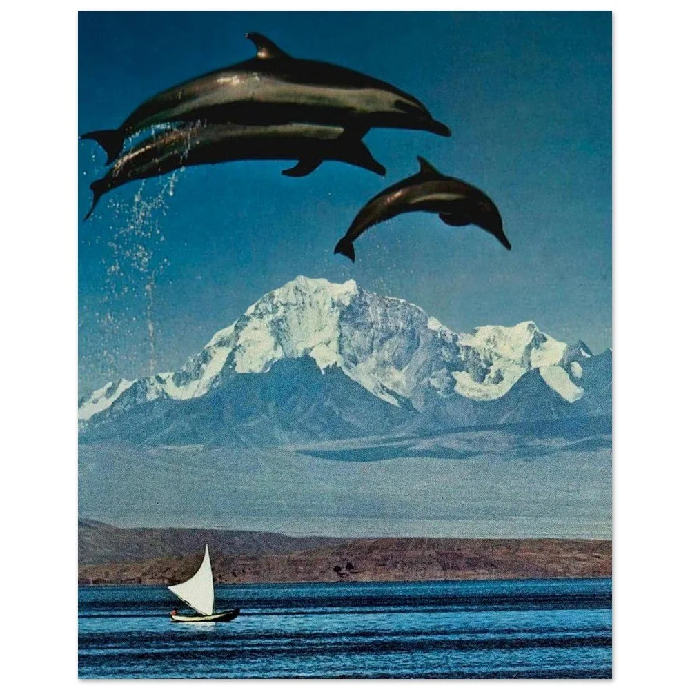 tmp-162-OqA2b8nsqZ81