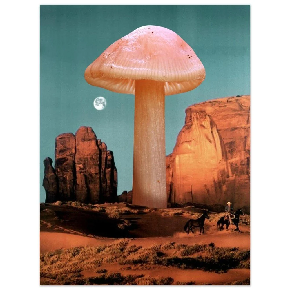 tmp-155-cZgKhLyL1Rwm