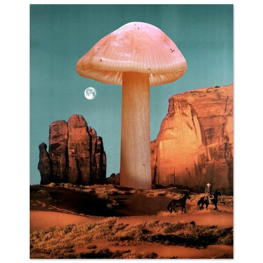 tmp-155-5tWXOqg5cGOz